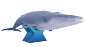 Papercraft de una Ballena Azul. Manualidades a Raudales.