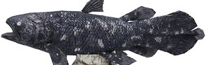 Papercraft del Pez Celacanto. Manualidades a Raudales.