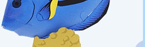 Papercraft del Pez Paracanthurus Hepatus. Manualidades a Raudales.