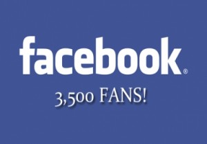 3500 seguidores de Facebook en Manualidades a Raudales.
